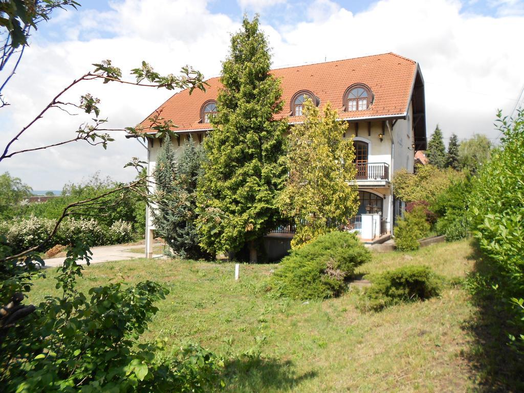 Peregrino Panzio Bed & Breakfast Budaors Luaran gambar