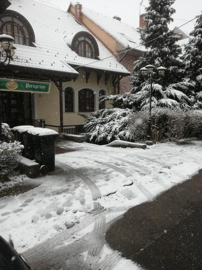 Peregrino Panzio Bed & Breakfast Budaors Luaran gambar