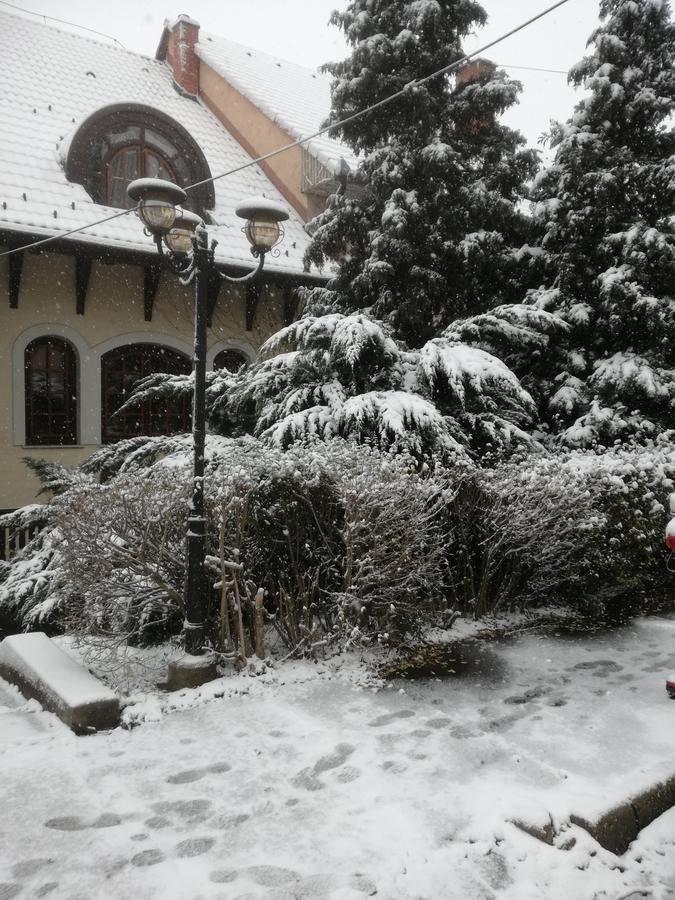 Peregrino Panzio Bed & Breakfast Budaors Luaran gambar